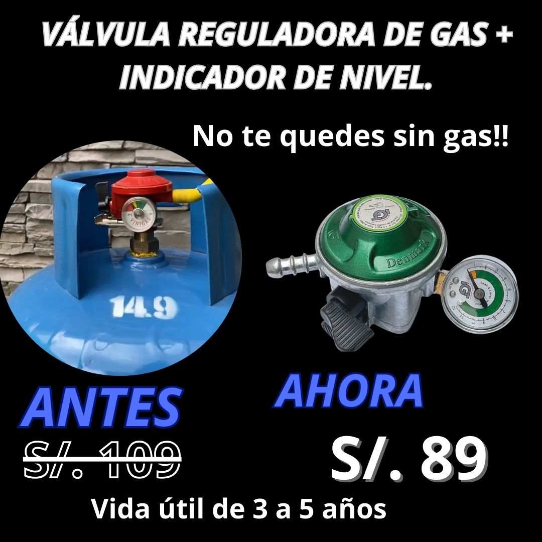 VÁLVULA REGULADORA DE GAS + INDICADOR DE NIVEL.